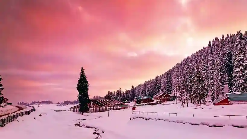 Romantic Kashmir Honeymoon