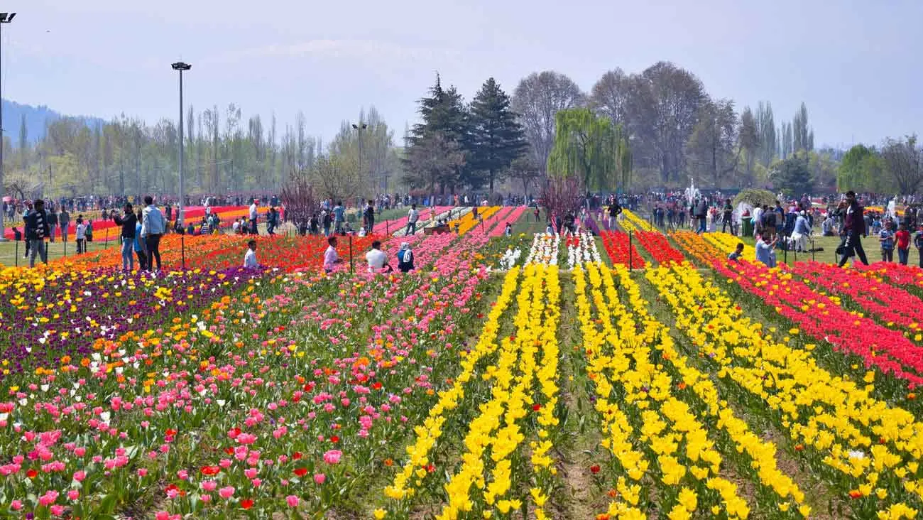 Srinagar Dal Lake